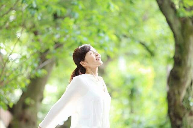 薬に頼らない 花粉症対策には 今話題の ハーブ がオススメ 40代 50代 中高年 ミドルシニア の転職求人from40